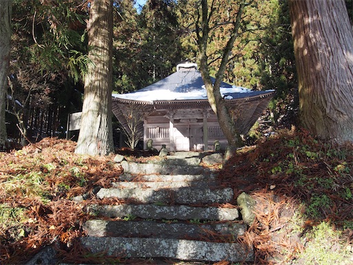 f:id:ochinaihappa:20230313201217j:image