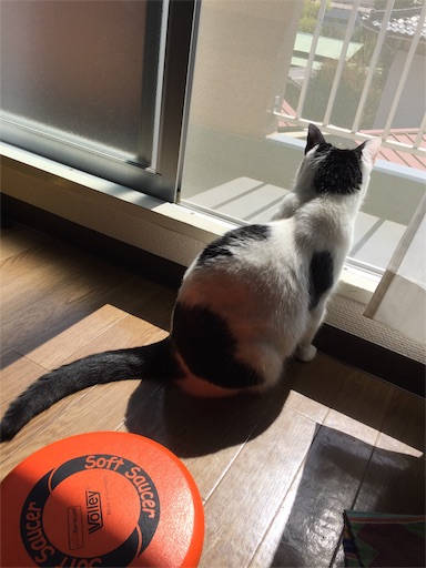 f:id:ocho6:20190507142334j:image