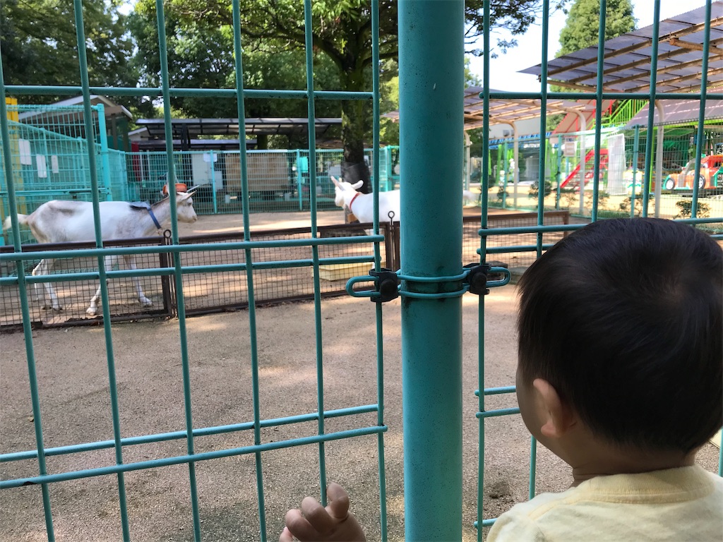 f:id:ochunshun:20190824214917j:image