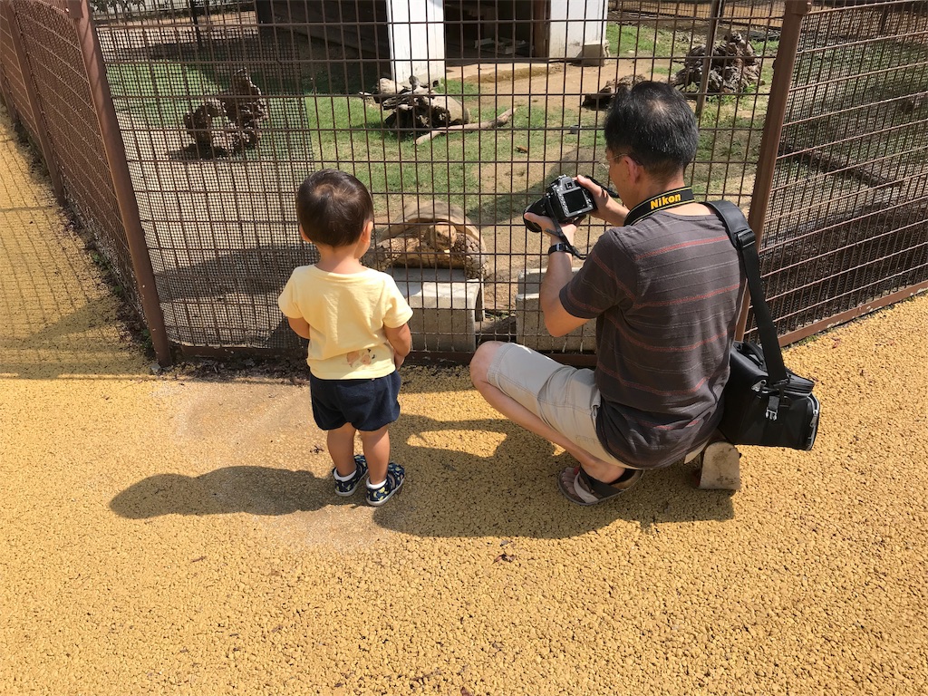 f:id:ochunshun:20190824215559j:image