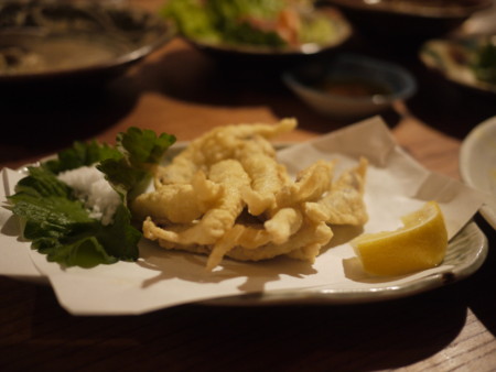 f:id:ochy:20110422225121j:image