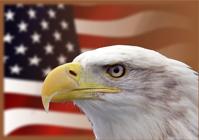 アメリカは好き 嫌い 国益を追求し世界一を生み出す土壌は好き嫌いを超える ミセスgのブログ