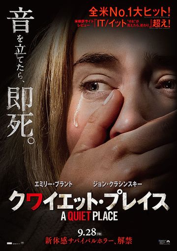 ホラーファンが選ぶ 怖いホラー映画特集 暑い夜をヒンヤリさせるおススメ作品一覧 ミセスgのブログ ホラーファンが選ぶ 怖いホラー映画特集 暑い夜をヒンヤリさせるおススメ作品一覧 ミセスgのブログ