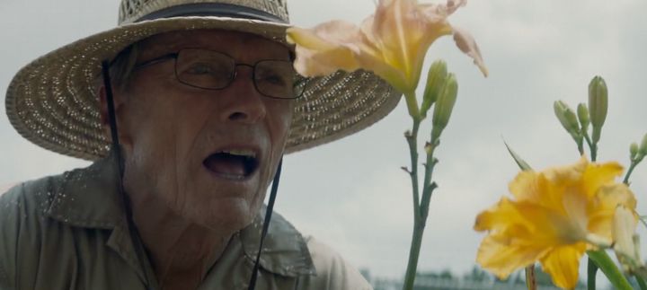 f:id:oclife:20190323235935j:plain