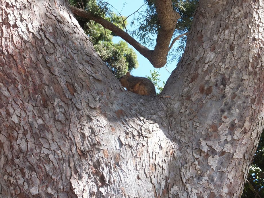 f:id:oclife:20190328165620j:plain