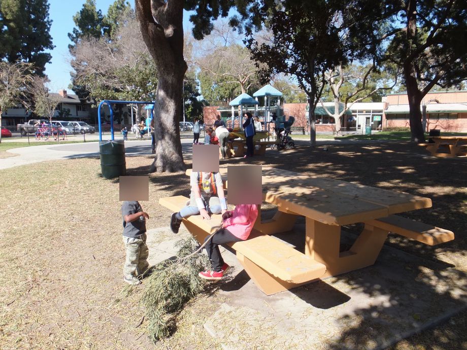 f:id:oclife:20190328170114j:plain