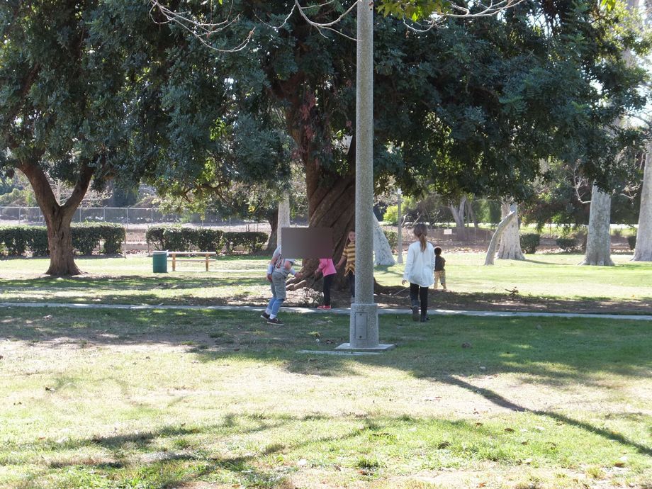 f:id:oclife:20190328170236j:plain