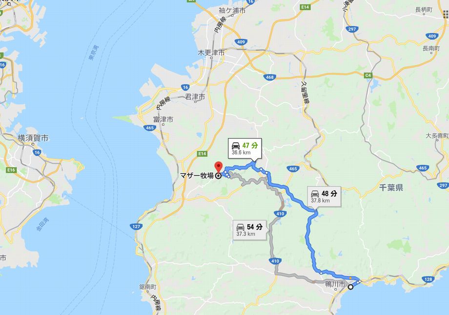 マザー牧場と鴨川シーワールドの距離