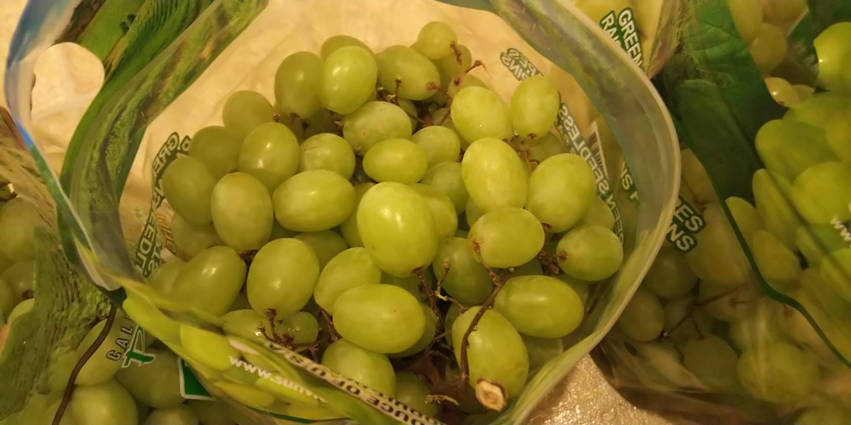 f:id:oclife:20190730132001j:plain
