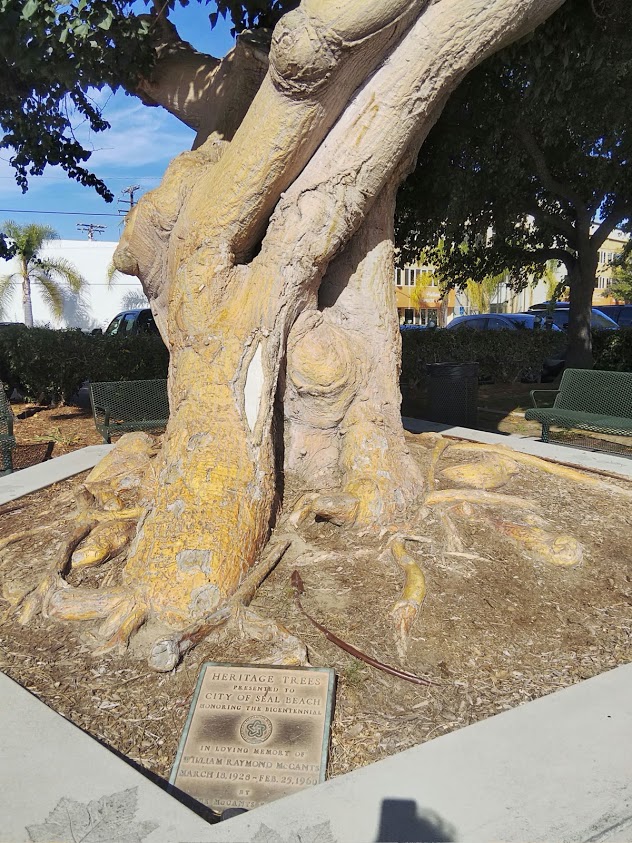 f:id:oclife:20190901144858j:plain