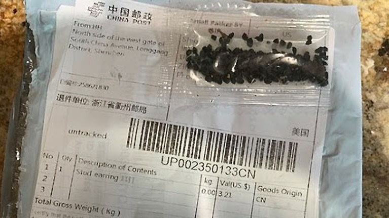 中国から米国に謎の種子が送付される事件はブラッシング詐欺 ミセスgのブログ
