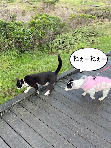 f:id:ocmay2023:20260303071338j:image f:id:ocmay2023:20260303071338j:image