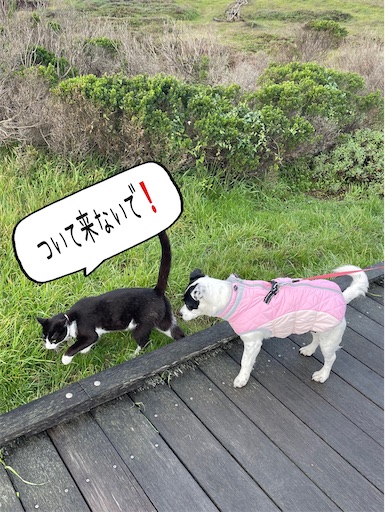 f:id:ocmay2023:20260303071341j:image f:id:ocmay2023:20260303071341j:image