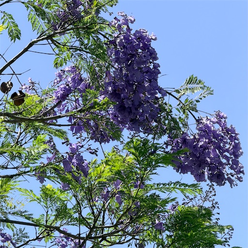 f:id:ocmay2023:20260418071009j:image
