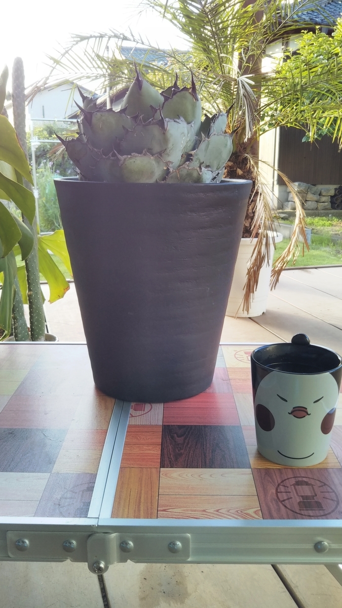 f:id:ocomen:20190820221649j:plain f:id:ocomen:20190820221649j:plain