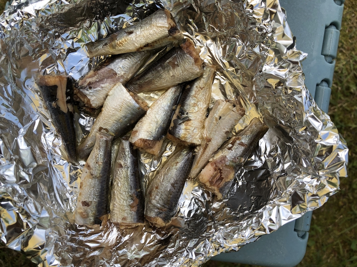 f:id:oconomy19:20190505131259j:plain