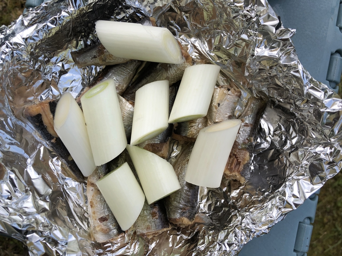 f:id:oconomy19:20190505131332j:plain