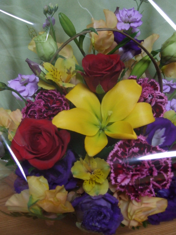 f:id:octpus11:20160301162558j:image:w200 f:id:octpus11:20160301162558j:image:w200