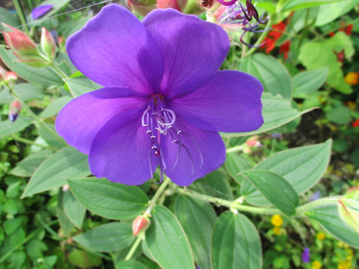 f:id:octpus11:20200810155506j:plain f:id:octpus11:20200810155506j:plain