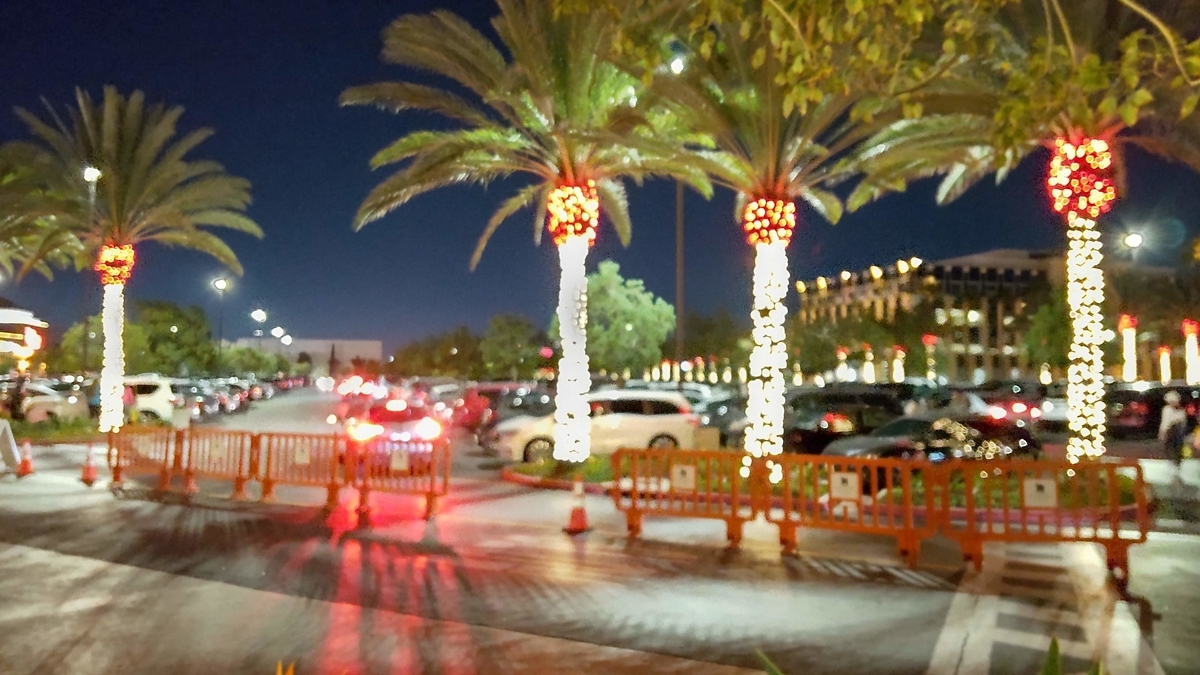 f:id:odachan0824:20211128053154j:plain