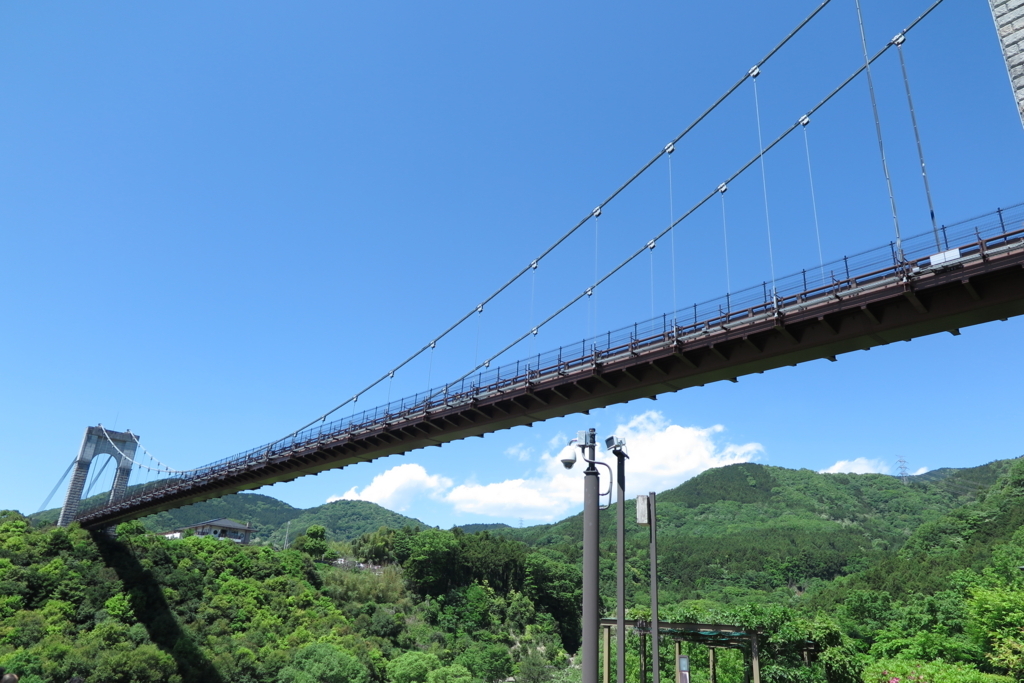 諏訪丸駐車場側か見た風の吊り橋