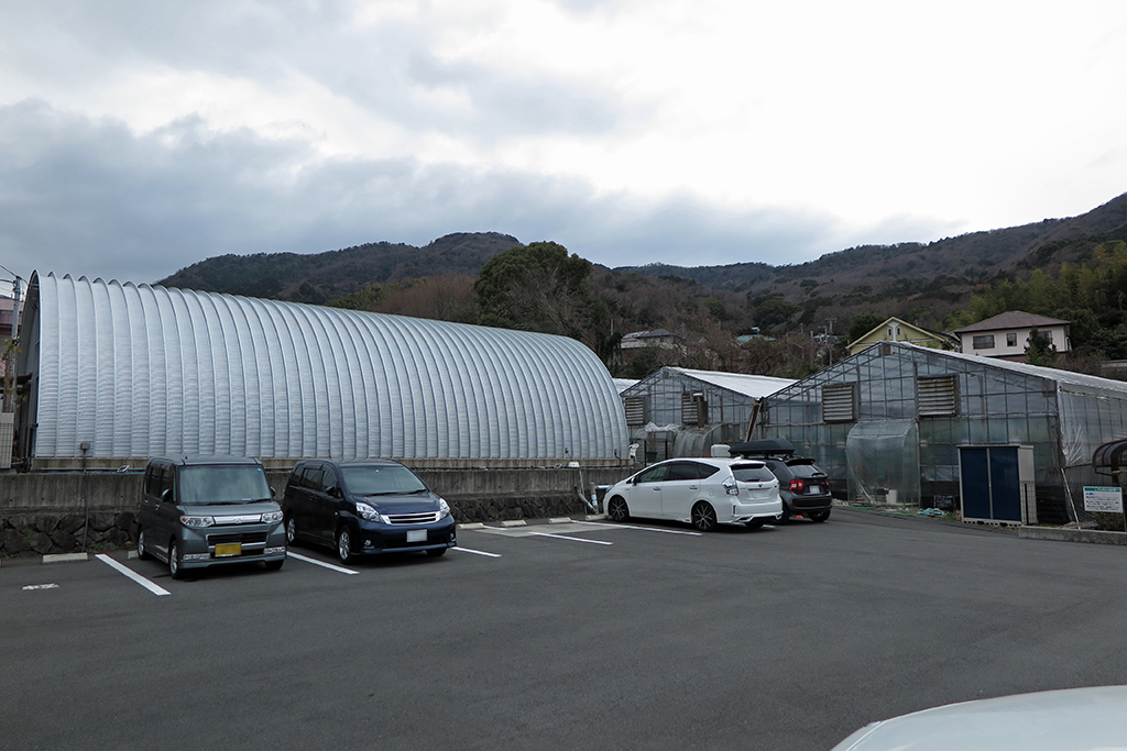 イエス！ストロベリーの駐車場、カフェ(左)、イチゴビニールハウス(右)