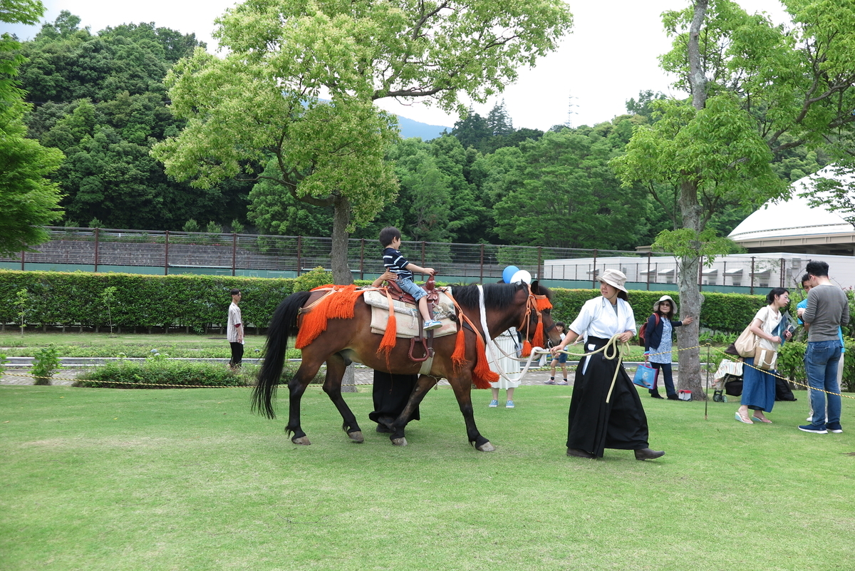 引き馬体験