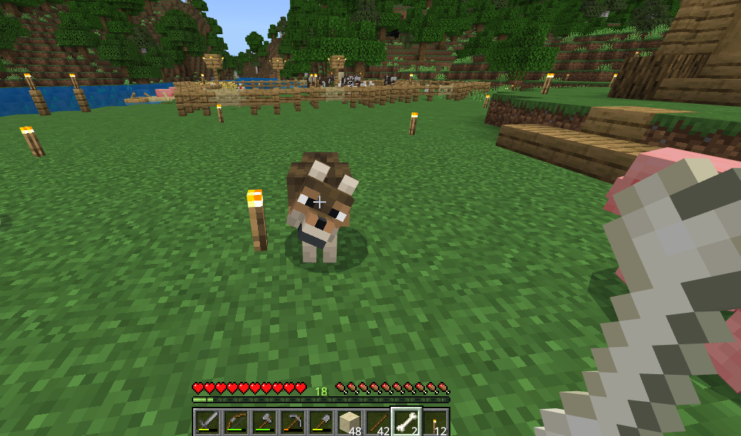 Minecraft骨をオオカミにあげる