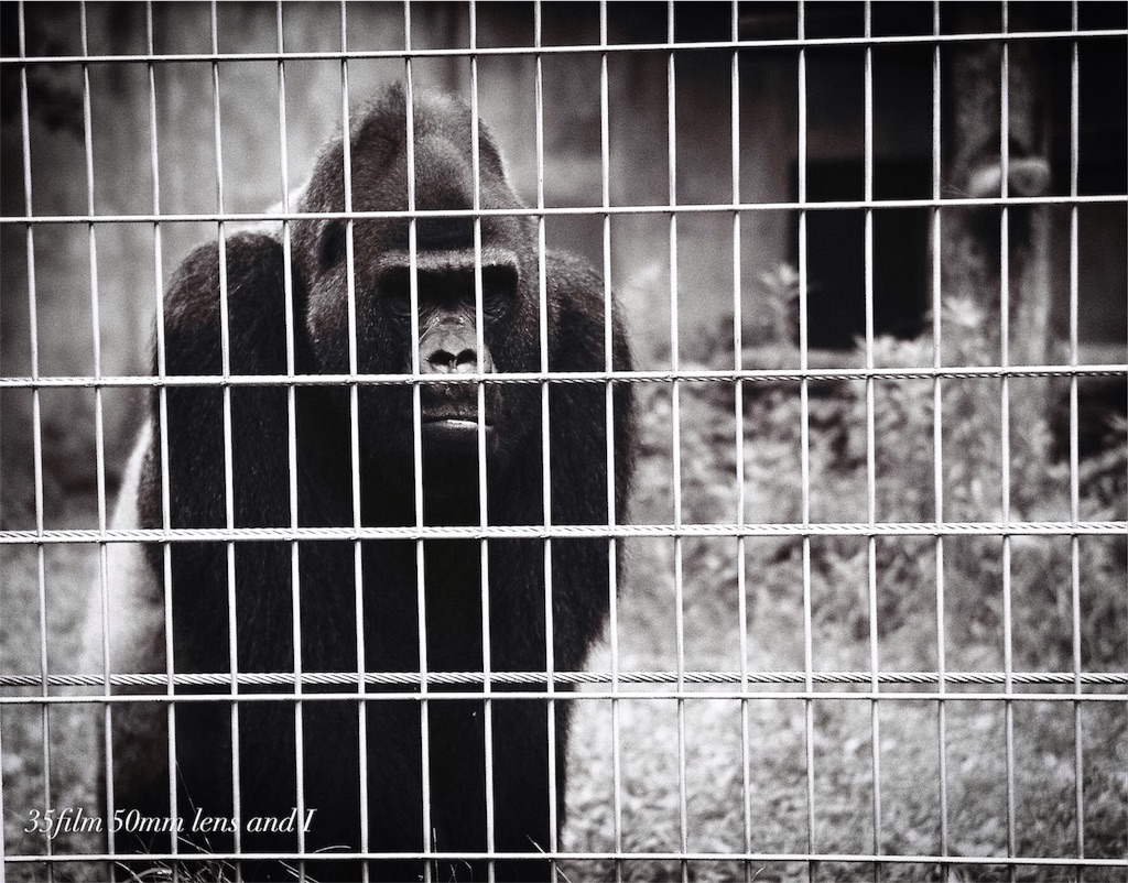 f:id:odaintothesky:20160920220255j:image