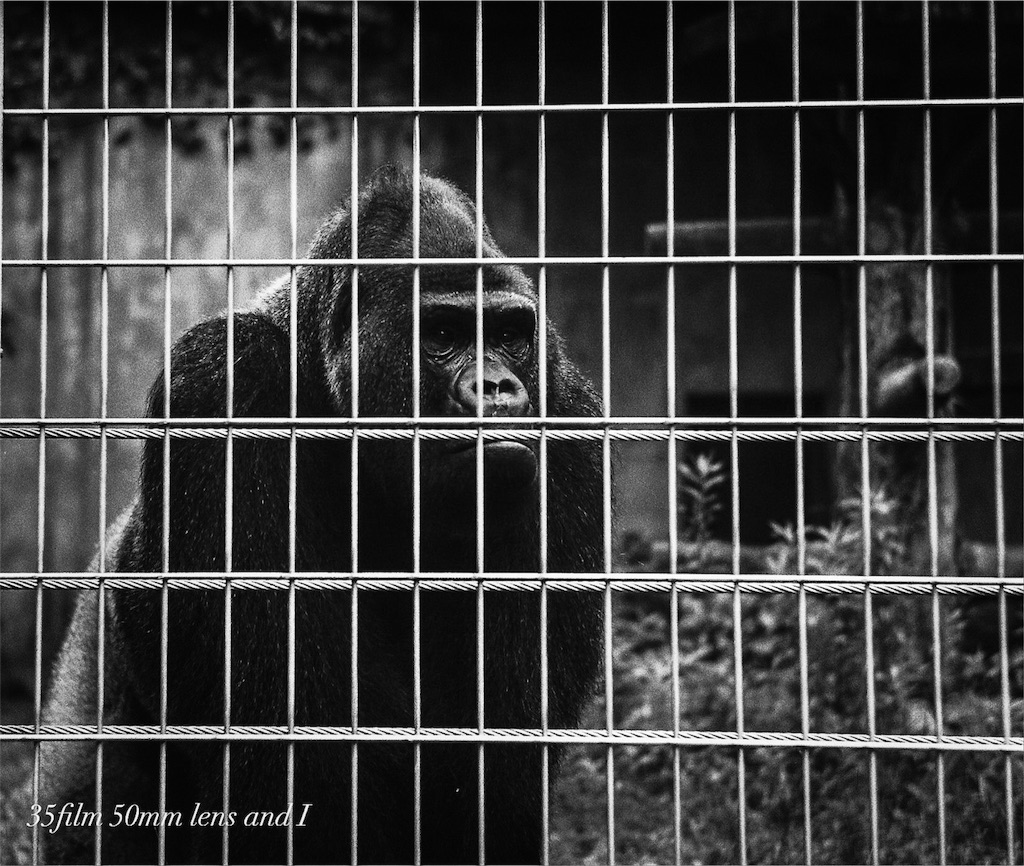 f:id:odaintothesky:20160920220301j:image