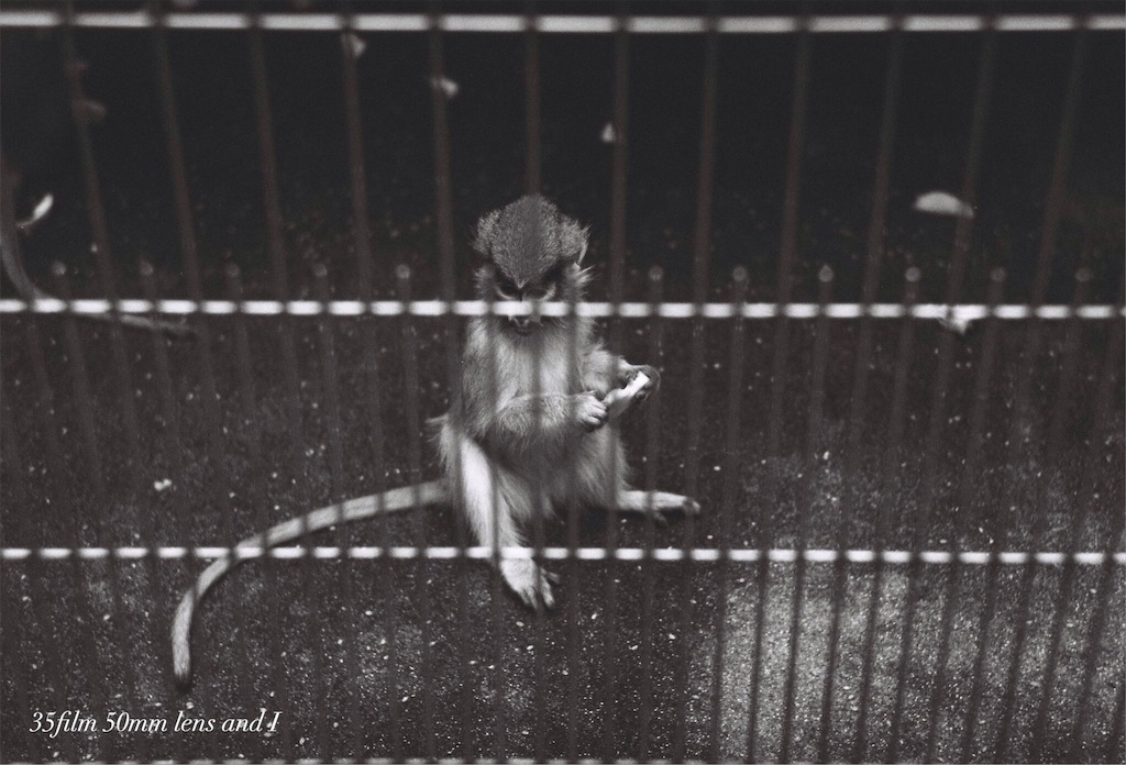 f:id:odaintothesky:20160920220331j:image