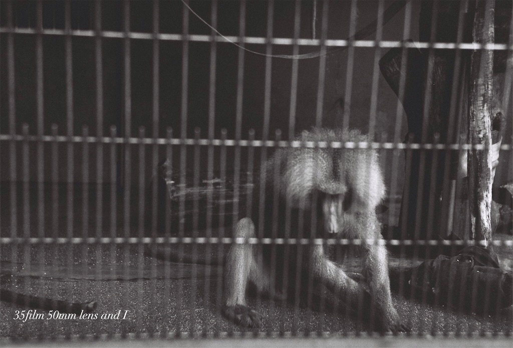 f:id:odaintothesky:20160920220338j:image