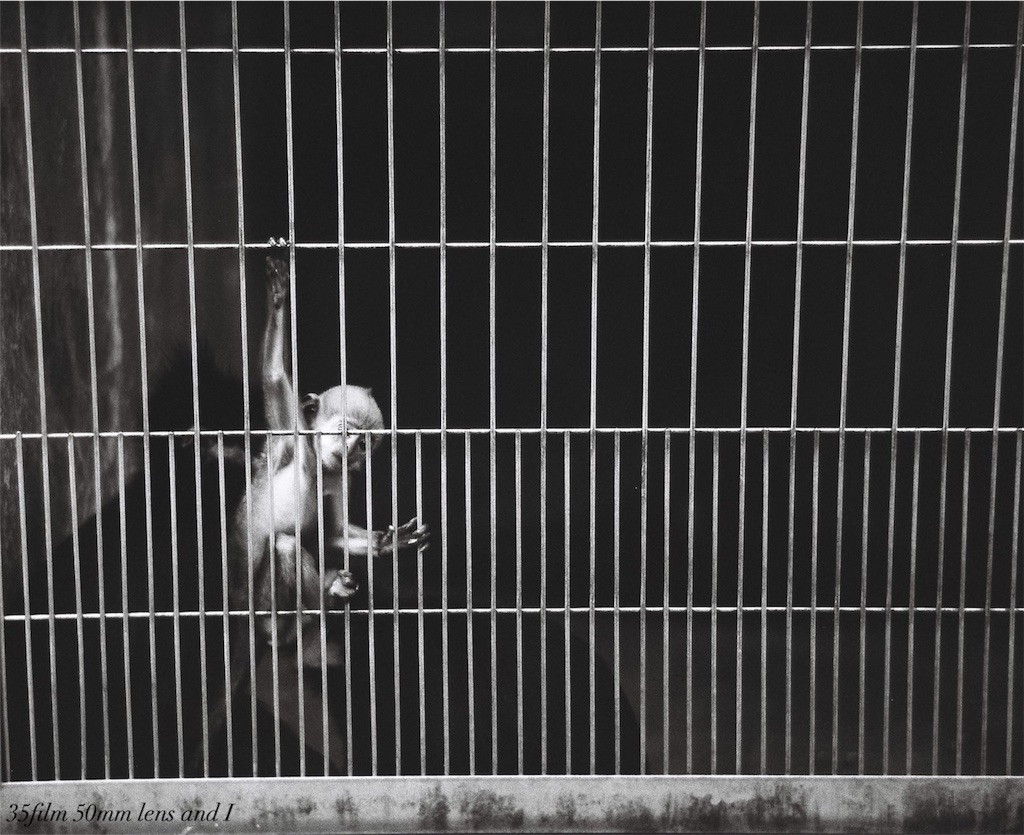 f:id:odaintothesky:20160920220401j:image