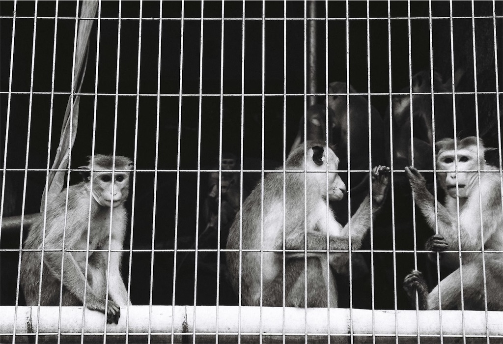 f:id:odaintothesky:20160920220415j:image