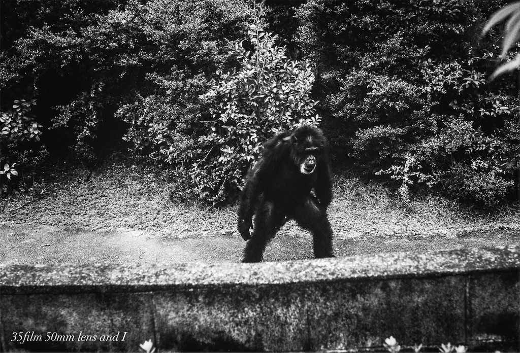 f:id:odaintothesky:20160920220440j:image