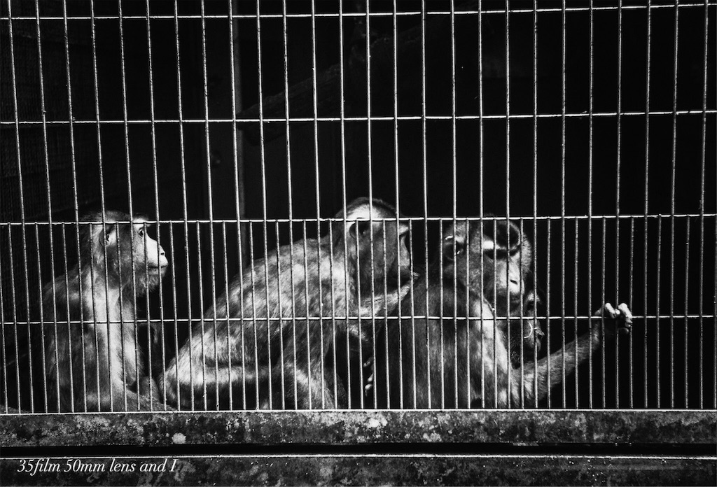 f:id:odaintothesky:20160920220451j:image