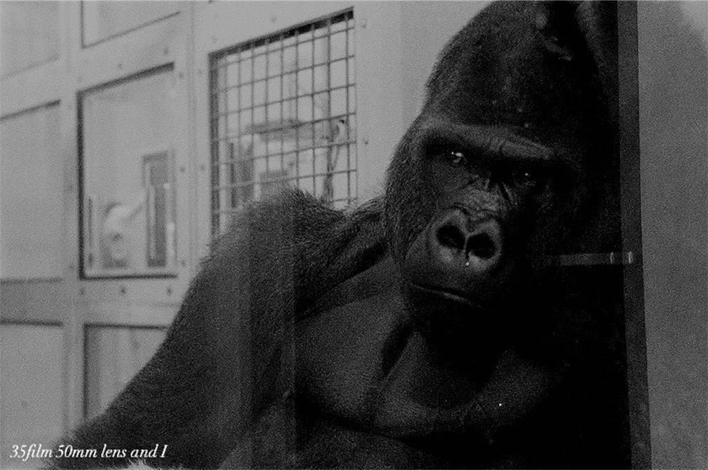 f:id:odaintothesky:20160921065927j:image