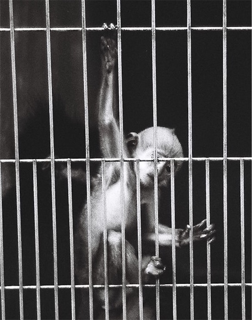 f:id:odaintothesky:20160921193714j:image