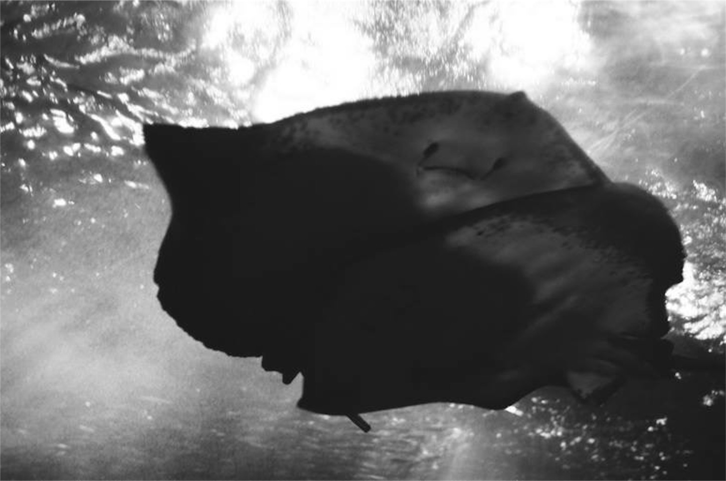 f:id:odaintothesky:20170213090438j:image