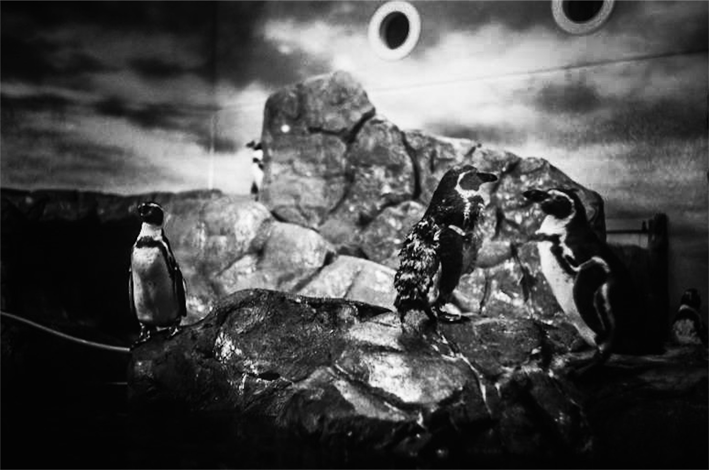 f:id:odaintothesky:20170213090521j:image