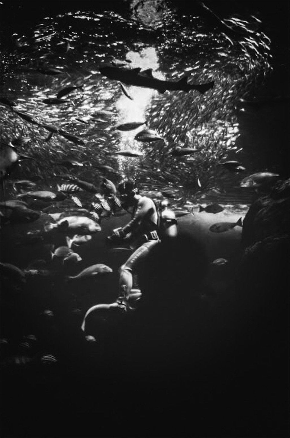 f:id:odaintothesky:20170213090559j:image