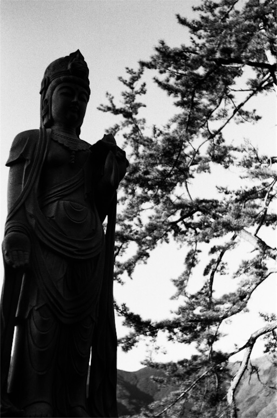 f:id:odaintothesky:20170430192837j:image