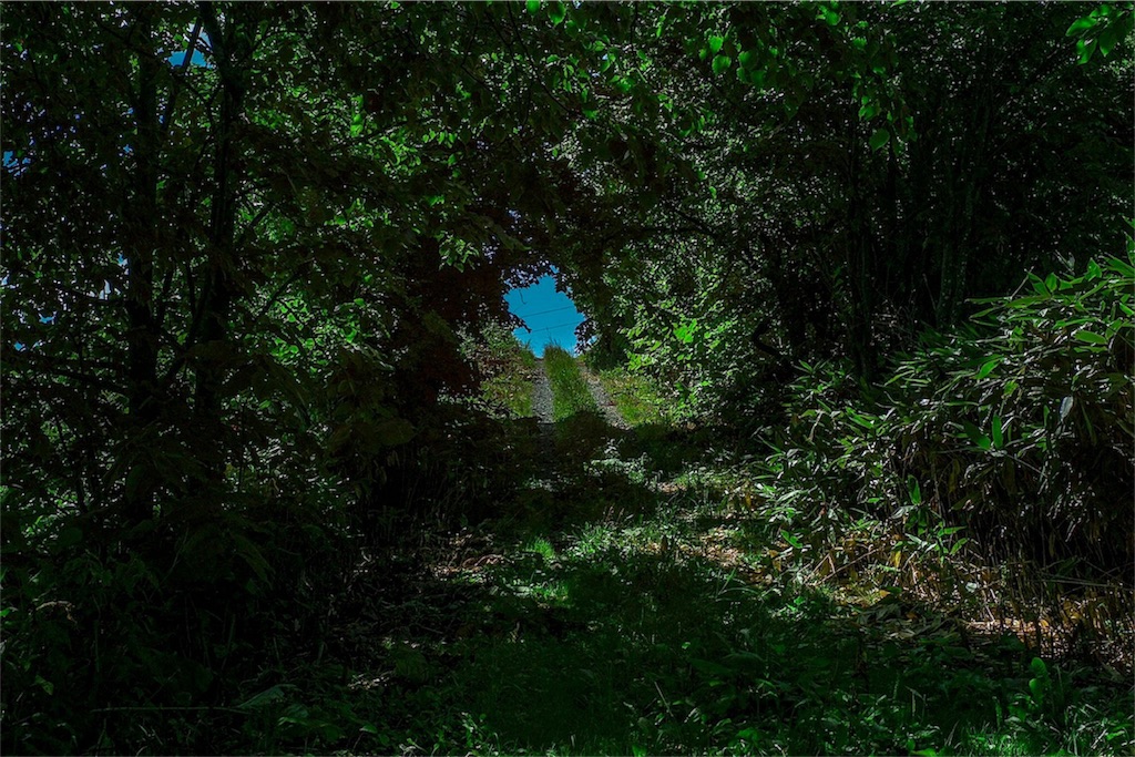 f:id:odaintothesky:20180623230342j:image f:id:odaintothesky:20180623230342j:image