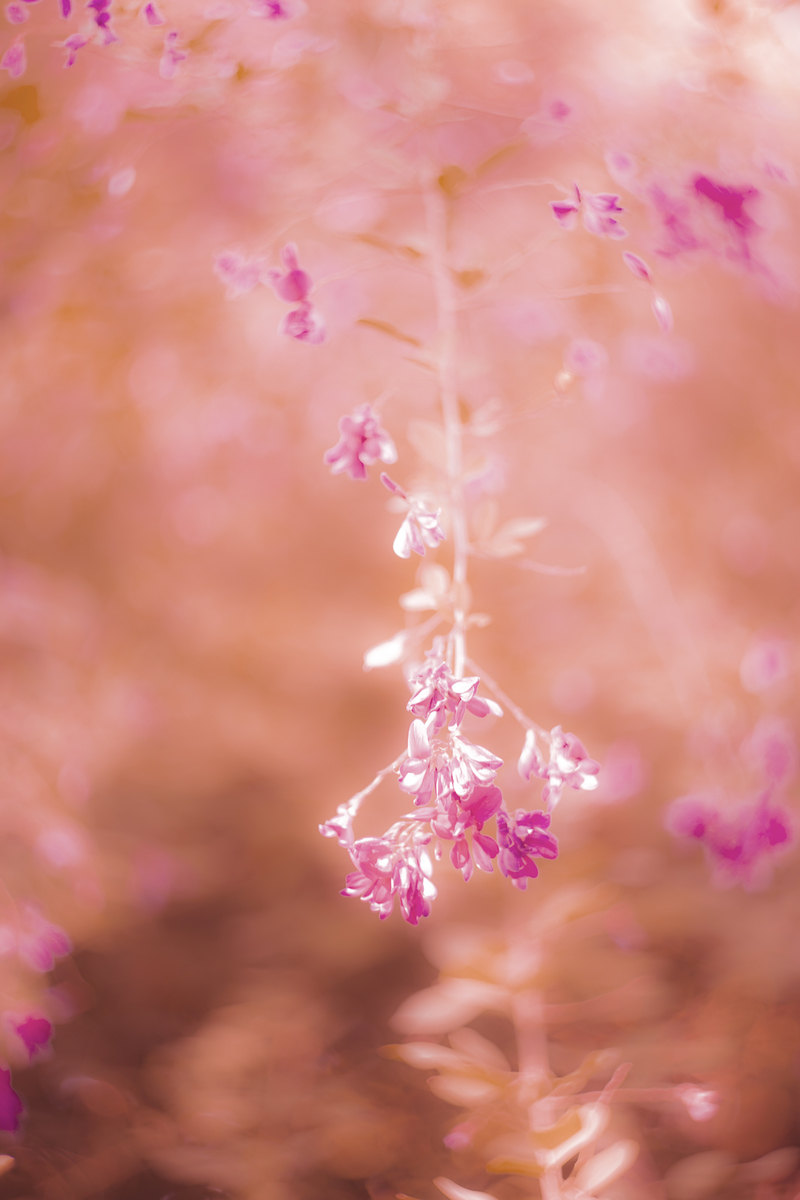 f:id:odamami:20191208152808j:plain f:id:odamami:20191208152808j:plain