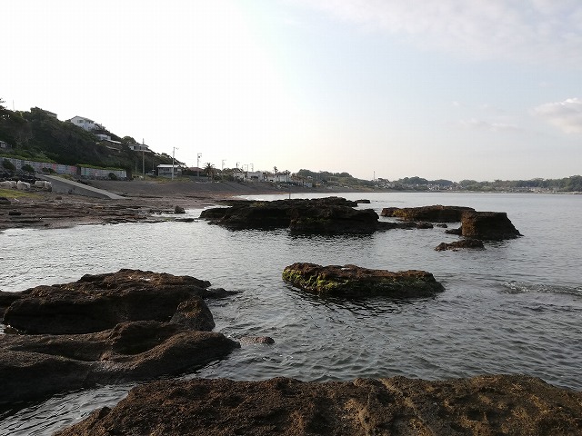 f:id:odango_kazoku:20200429093948j:plain