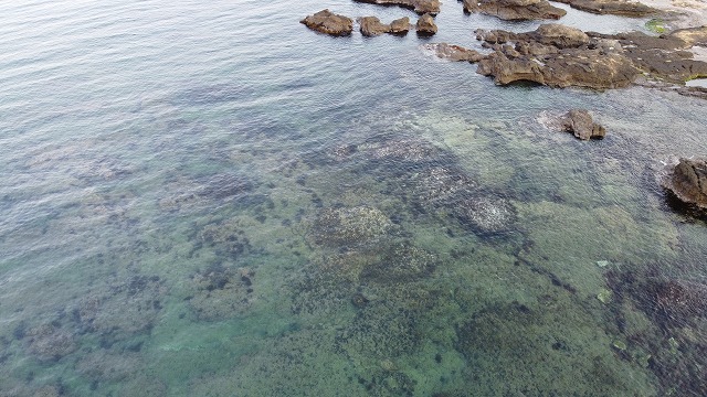 f:id:odango_kazoku:20200429153257j:plain