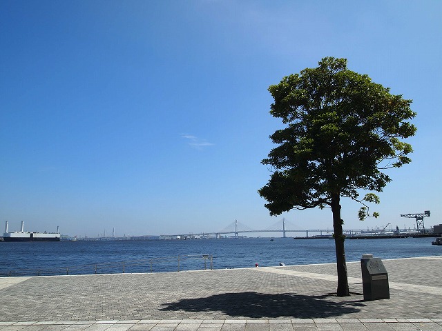 f:id:odango_kazoku:20200722180939j:plain