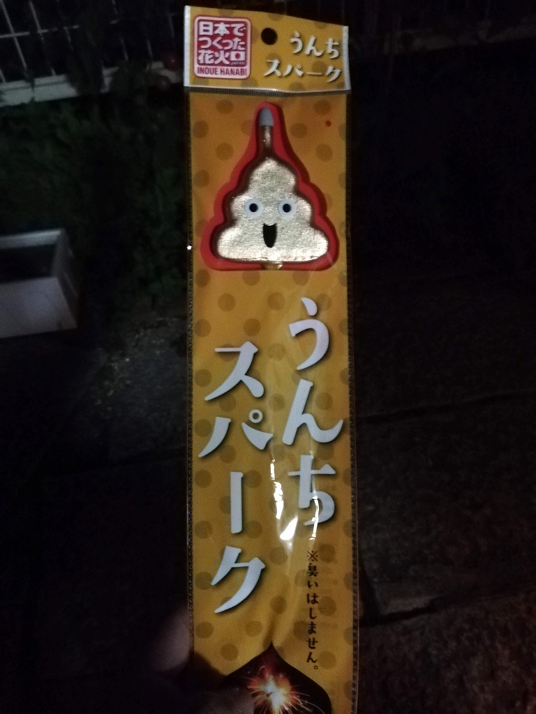 自宅の庭で はじめての噴射花火 あとは うんちスパーク も みうら日和 三浦の暮らし 移住
