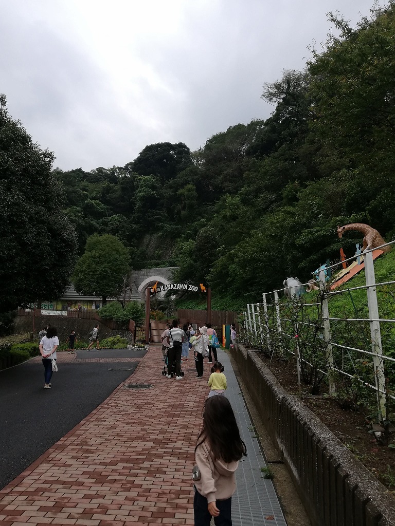 f:id:odango_kazoku:20200922163758j:plain f:id:odango_kazoku:20200922163758j:plain