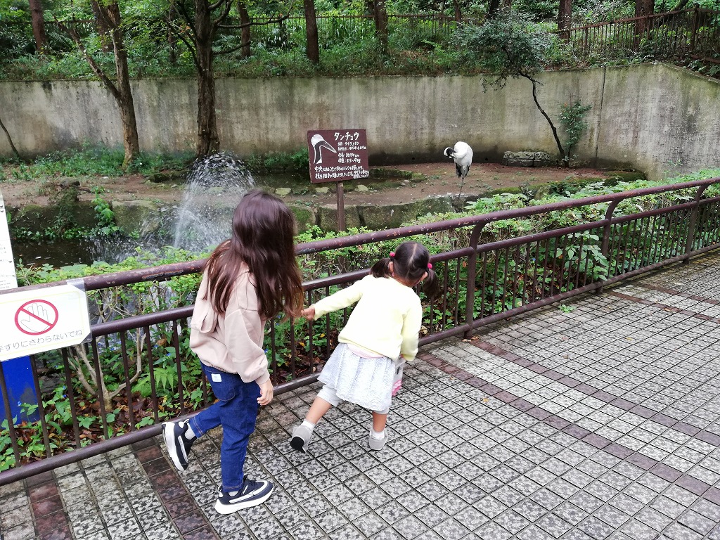 f:id:odango_kazoku:20200922164122j:plain f:id:odango_kazoku:20200922164122j:plain